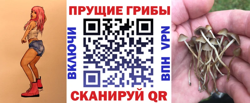 Галлюциногенные грибы ЛСД  Шебекино 